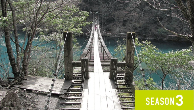 寸又峡 夢のつり橋